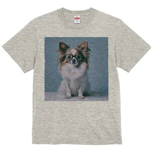 ` TVc Y LbY t@  t  vg JWA 킢 lԗp h ̃fUC ʔ Kl `