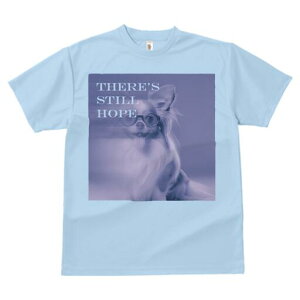 ` TVc Y LbY t@  t  vg JWA 킢 lԗp h ̃fUC ʔ Kl `