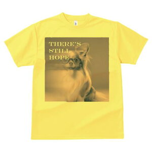 ` TVc Y LbY t@  t  vg JWA 킢 lԗp h ̃fUC ʔ Kl `