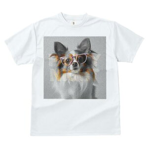 ` TVc Y LbY t@  t  vg JWA 킢 lԗp h ̃fUC ʔ Kl `