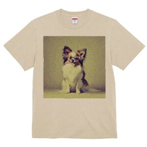 ` TVc Y LbY t@  t  vg JWA 킢 lԗp h ̃fUC ʔ Kl `