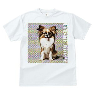 ` TVc Y LbY t@  t  vg JWA 킢 lԗp h ̃fUC ʔ Kl `