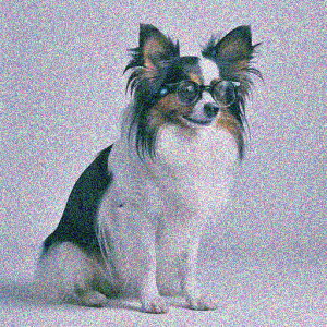 Kl ps NbVJo[ 45×45cm Aj}   NbV{̕t ` t@