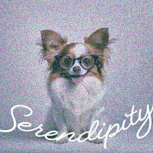 Kl ` NbVJo[ 45×45cm Aj}   NbV{̕t ` t@