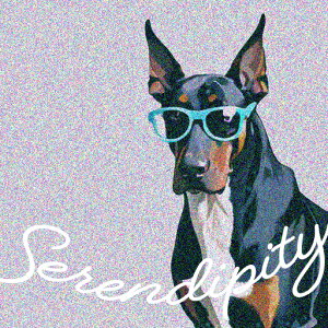 Kl h[x} NbVJo[ 45×45cm Aj}   NbV{̕t ` t@