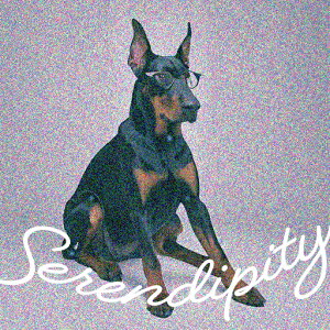 Kl h[x} NbVJo[ 45×45cm Aj}   NbV{̕t ` t@