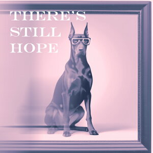 Kl h[x} t[ NbVJo[ 45×45cm Aj}   NbV{̕t ` t@