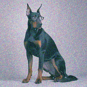 Kl h[x} NbVJo[ 45×45cm Aj}   NbV{̕t ` t@