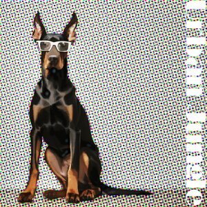 Kl h[x} NbVJo[ 45×45cm Aj}   NbV{̕t ` t@