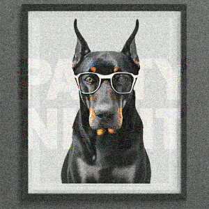 Kl h[x} NbVJo[ 45×45cm Aj}   NbV{̕t ` t@