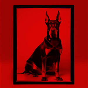 z h[x} Kl NbVJo[ 45×45cm Aj}   NbV{̕t ` t@