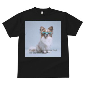 ps TVc fB[X t@  t  vg JWA 킢 lԗp h ̃fUC ʔ Kl ps