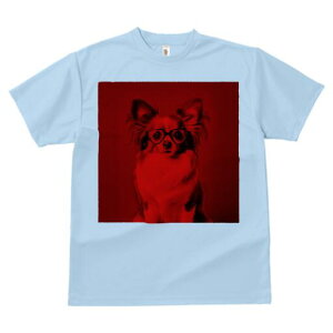 ` TVc Y LbY t@  t  vg JWA 킢 lԗp h ̃fUC ʔ Kl `