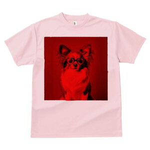 ` TVc Y LbY t@  t  vg JWA 킢 lԗp h ̃fUC ʔ Kl `