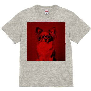 ` TVc Y LbY t@  t  vg JWA 킢 lԗp h ̃fUC ʔ Kl `