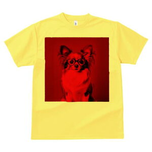 ` TVc Y LbY t@  t  vg JWA 킢 lԗp h ̃fUC ʔ Kl `