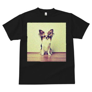 ` TVc fB[X t@  t  vg JWA 킢 lԗp h ̃fUC ʔ TOX `