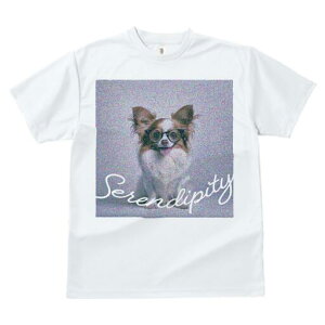 ` TVc fB[X t@  t  vg JWA 킢 lԗp h ̃fUC ʔ Kl `