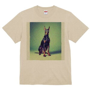 h[x} TVc Y LbY t@  t  vg JWA 킢 lԗp h ̃fUC ʔ Kl h[x}