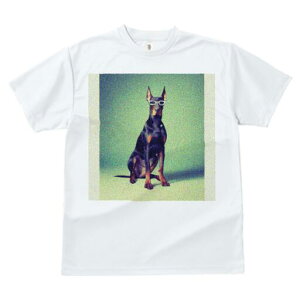 h[x} TVc Y LbY t@  t  vg JWA 킢 lԗp h ̃fUC ʔ Kl h[x}