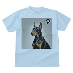 h[x} TVc Y LbY t@  t  vg JWA 킢 lԗp h ̃fUC ʔ Kl h[x} ^╄