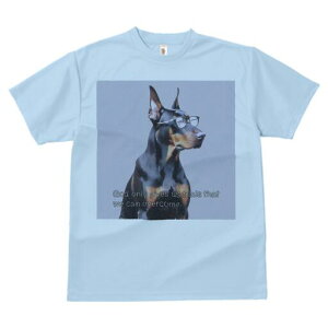 h[x} TVc Y LbY t@  t  vg JWA 킢 lԗp h ̃fUC ʔ Kl h[x}