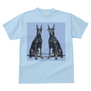 h[x} TVc Y LbY t@  t  vg JWA 킢 lԗp h ̃fUC ʔ Kl h[x}