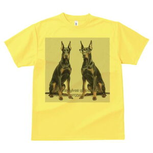 h[x} TVc Y LbY t@  t  vg JWA 킢 lԗp h ̃fUC ʔ Kl h[x}