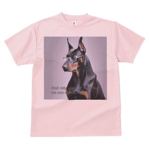 h[x} TVc Y LbY t@  t  vg JWA 킢 lԗp h ̃fUC ʔ Kl h[x}