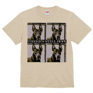 h[x} TVc Y LbY t@  t  vg JWA 킢 lԗp h ̃fUC ʔ Kl h[x}