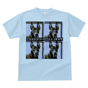 h[x} TVc Y LbY t@  t  vg JWA 킢 lԗp h ̃fUC ʔ Kl h[x}