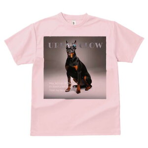 h[x} TVc Y LbY t@  t  vg JWA 킢 lԗp h ̃fUC ʔ Kl h[x} N[ 낢 