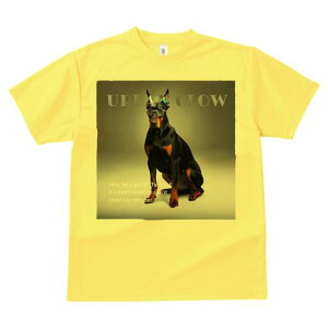 h[x} TVc Y LbY t@  t  vg JWA 킢 lԗp h ̃fUC ʔ Kl h[x} N[ 낢 