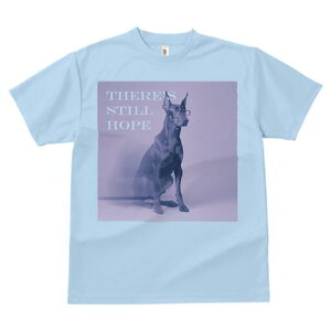 h[x} TVc Y LbY t@  t  vg JWA 킢 lԗp h ̃fUC ʔ Kl h[x}