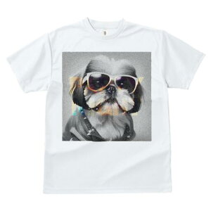 V[Y[ TVc fB[X t@  t  vg JWA 킢 lԗp h ̃fUC ʔ TOX V[Y[ WPbg