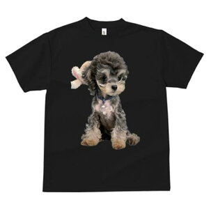 gCv[h TVc fB[X t@  t  vg JWA 킢 lԗp h ̃fUC ʔ  gCv[h ʂ