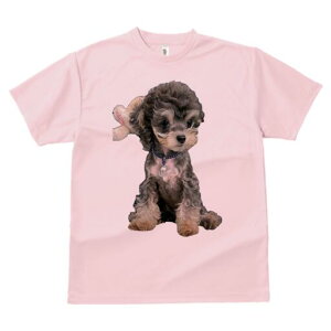 gCv[h TVc Y LbY t@  t  vg JWA 킢 lԗp h ̃fUC ʔ  gCv[h ʂ