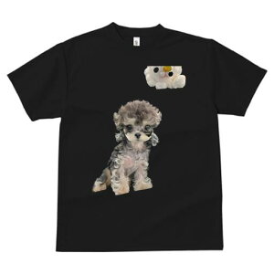 }`[Y,gCv[h TVc Y LbY t@  t  vg JWA 킢 lԗp h ̃fUC ʔ ʂ }`[Y,gCv[h