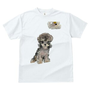 }`[Y,gCv[h TVc fB[X t@  t  vg JWA 킢 lԗp h ̃fUC ʔ ʂ }`[Y,gCv[h