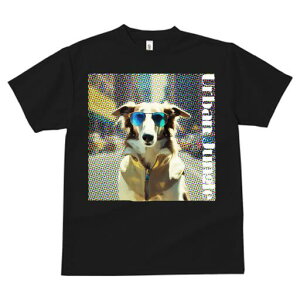 {]C TVc fB[X t@  t  vg JWA 킢 lԗp h ̃fUC ʔ TOX {]C WPbg