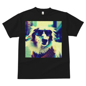 {[_[R[ TVc fB[X t@  t  vg JWA 킢 lԗp h ̃fUC ʔ TOX {[_[R[