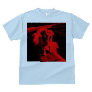 S[fgo[ TVc Y LbY t@  t  vg JWA 킢 lԗp h ̃fUC ʔ T[tB S[fgo[ g