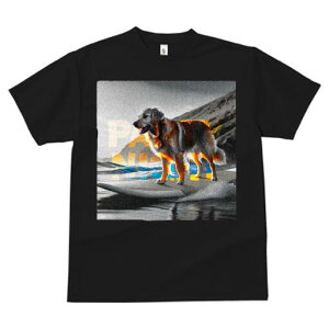 S[fgo[ TVc fB[X t@  t  vg JWA 킢 lԗp h ̃fUC ʔ T[tB S[fgo[ C g 