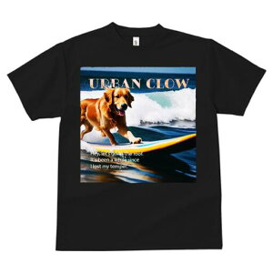 S[fgo[ TVc fB[X t@  t  vg JWA 킢 lԗp h ̃fUC ʔ T[tB S[fgo[ C g