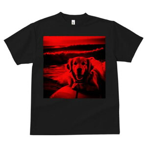 S[fgo[ TVc fB[X t@  t  vg JWA 킢 lԗp h ̃fUC ʔ T[tB S[fgo[ C