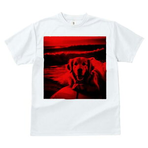 S[fgo[ TVc fB[X t@  t  vg JWA 킢 lԗp h ̃fUC ʔ T[tB S[fgo[ C