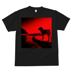 S[fgo[ TVc fB[X t@  t  vg JWA 킢 lԗp h ̃fUC ʔ T[tB S[fgo[ C g r[`