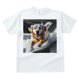 S[fgo[ TVc fB[X t@  t  vg JWA 킢 lԗp h ̃fUC ʔ T[tB S[fgo[ C