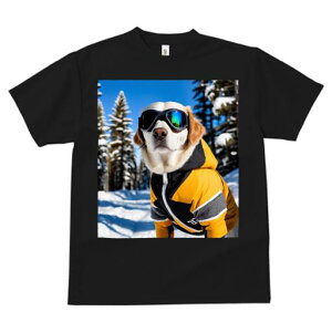 S[fgo[ TVc fB[X t@  t  vg JWA 킢 lԗp h ̃fUC ʔ XL[EFA S[fgo[ XL[S[