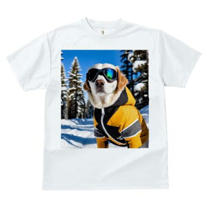 S[fgo[ TVc fB[X t@  t  vg JWA 킢 lԗp h ̃fUC ʔ XL[EFA S[fgo[ XL[S[